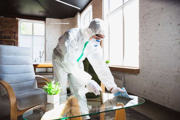 Why You Should Choose Our Mold Remediation Services in Maryland City, MD